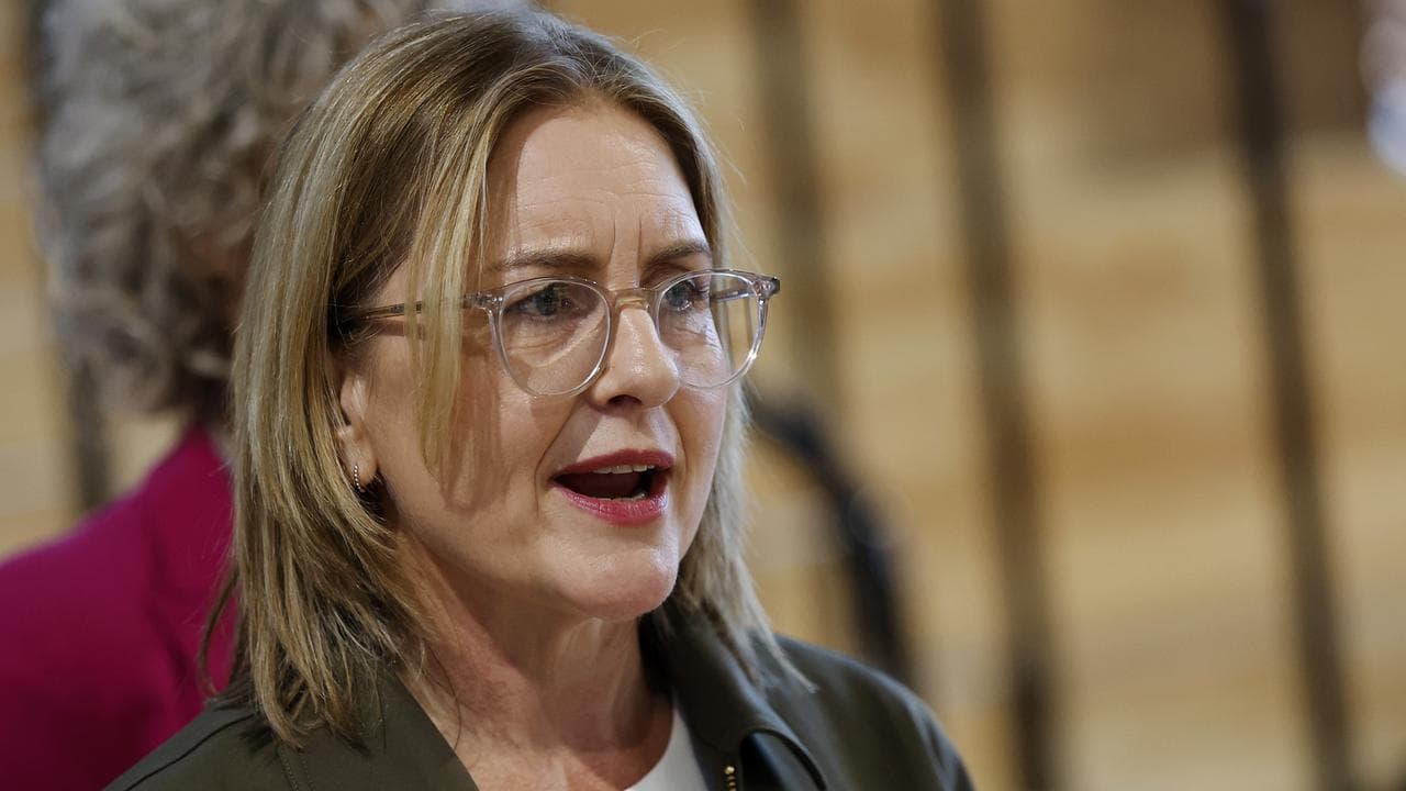 Premier Jacinta Allan (file image)