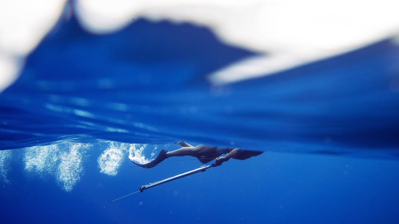 Spearfisher