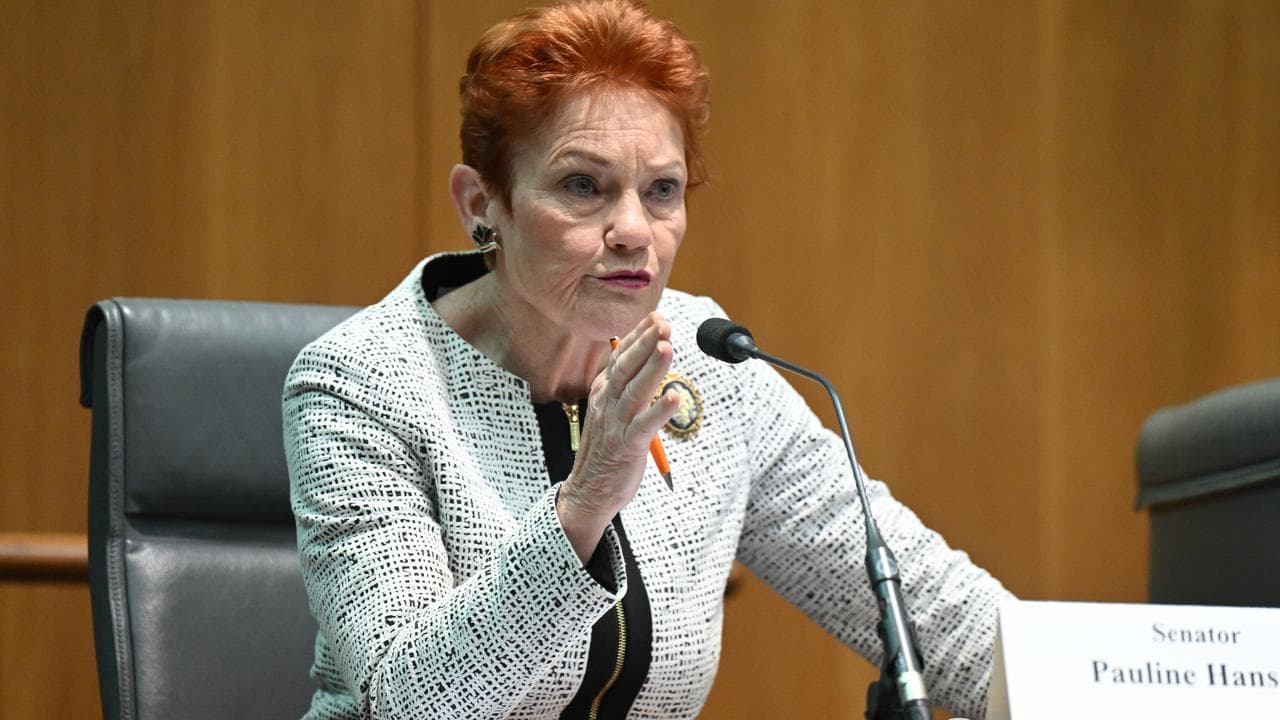 One Nation leader Pauline Hanson