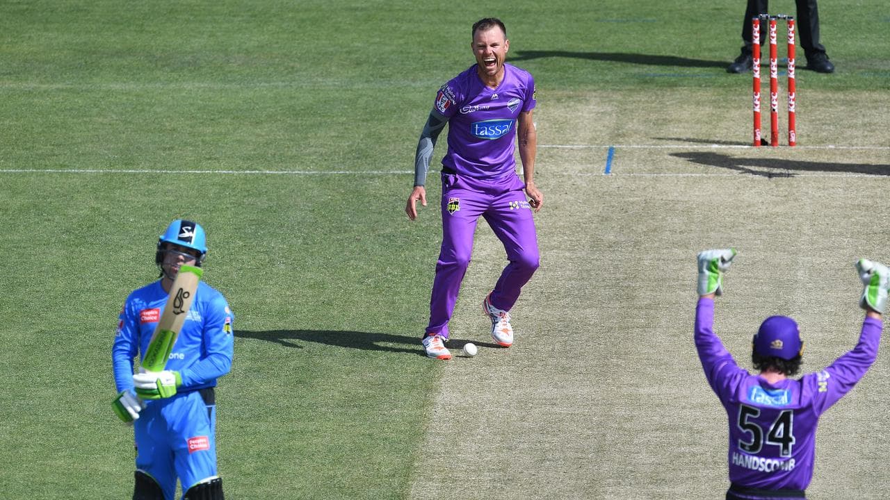 Cricket