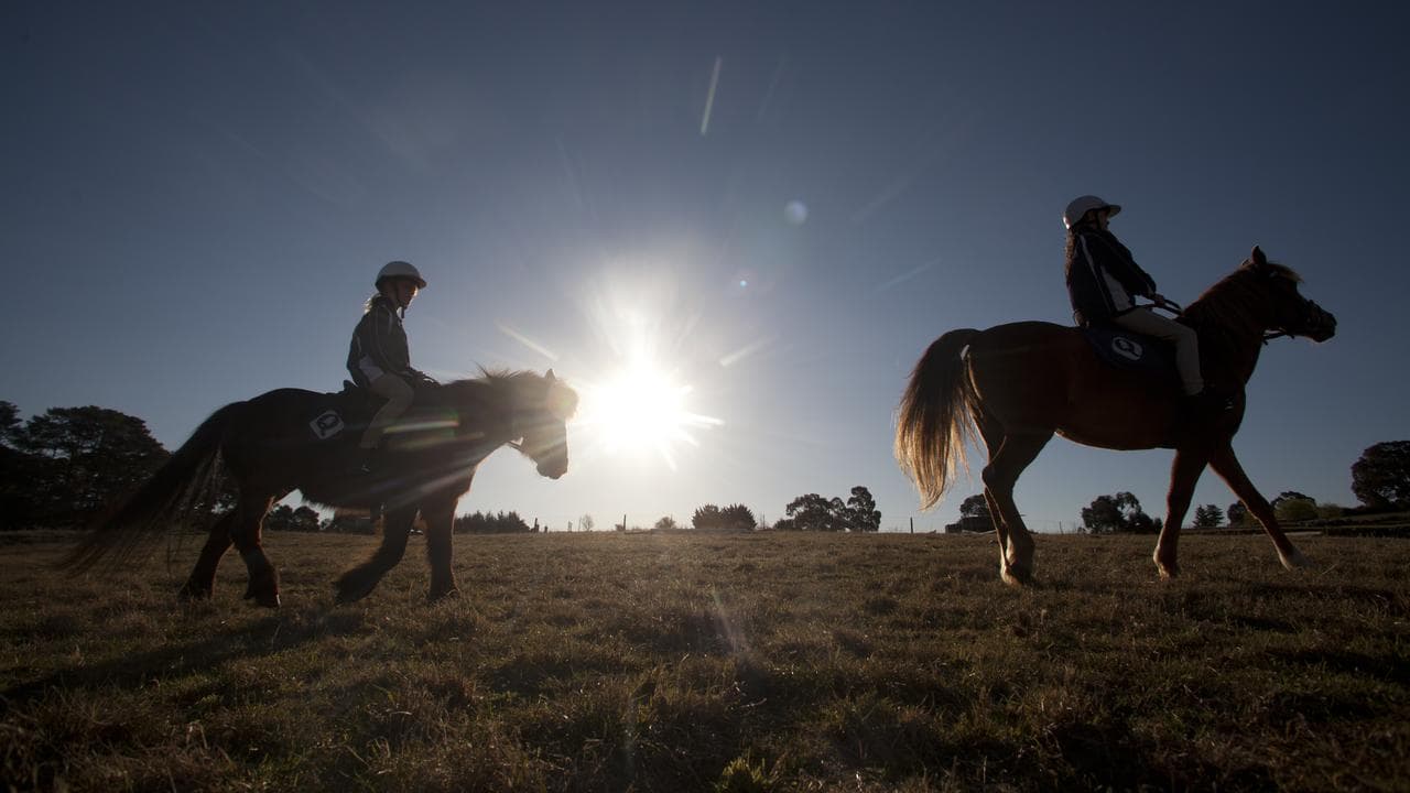 Riding horses on a farm (file)