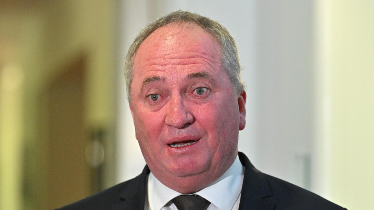 One Nation MP Barnaby Joyce