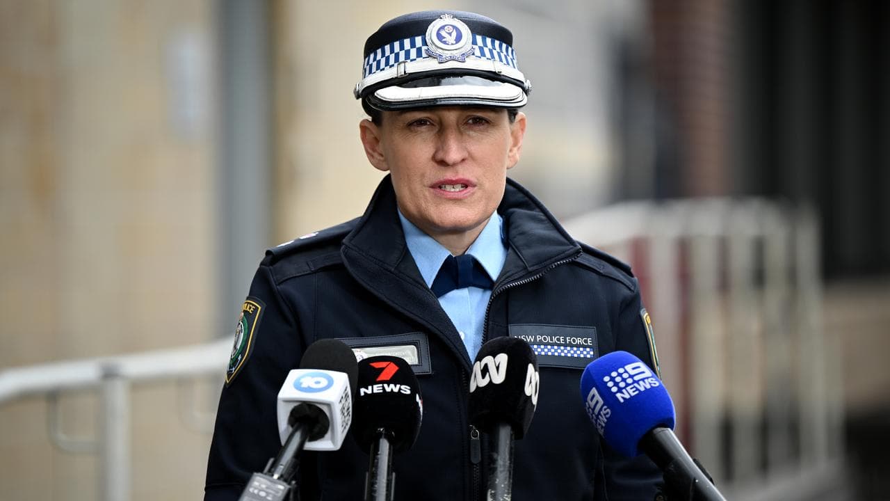NSW Police Superintendent Christine McDonald
