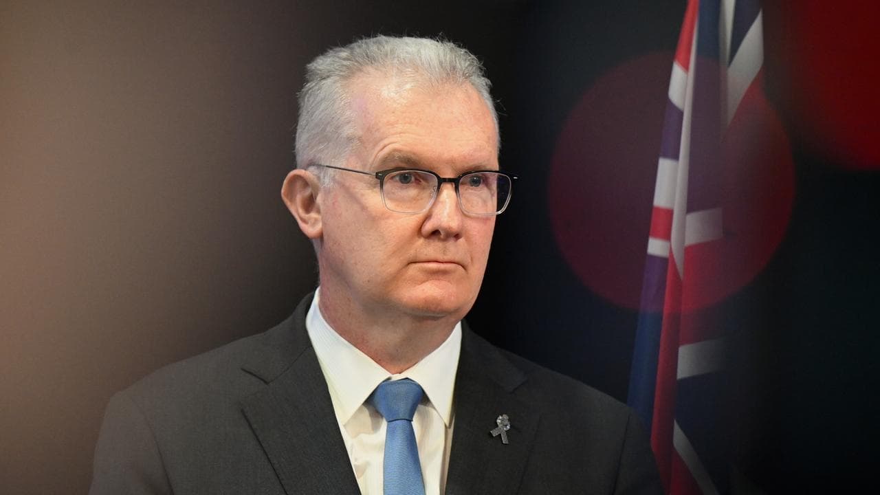 Home Affairs Minister Tony Burke