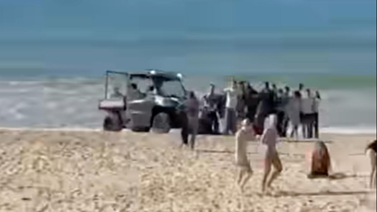 Shark attack