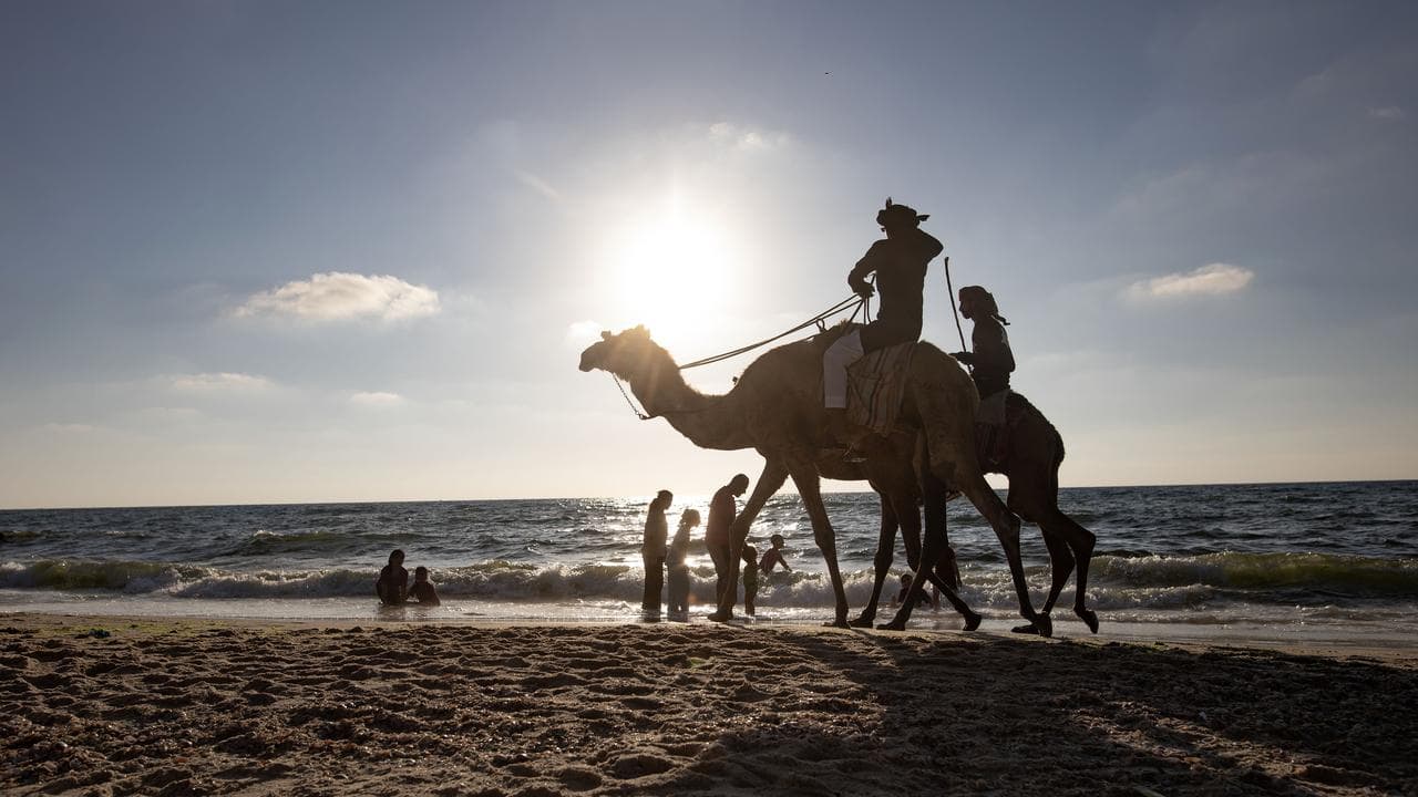 People on camels at the beach in Khan Younis