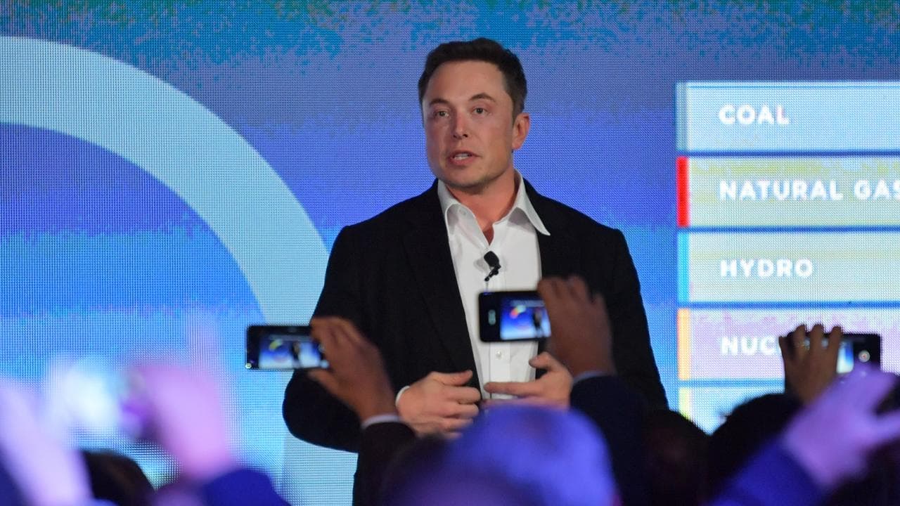 Elon Musk (file image)
