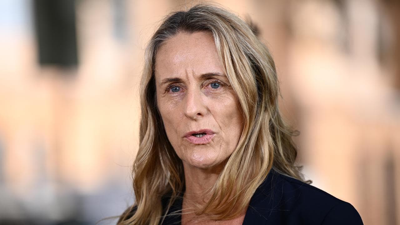 NSW Greens MP Sue Higginson (file image)