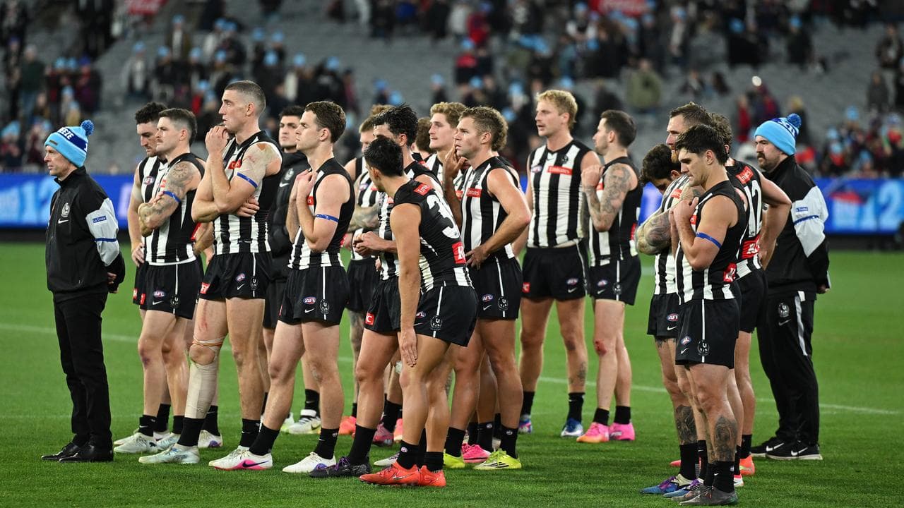 Collingwood Magpies head