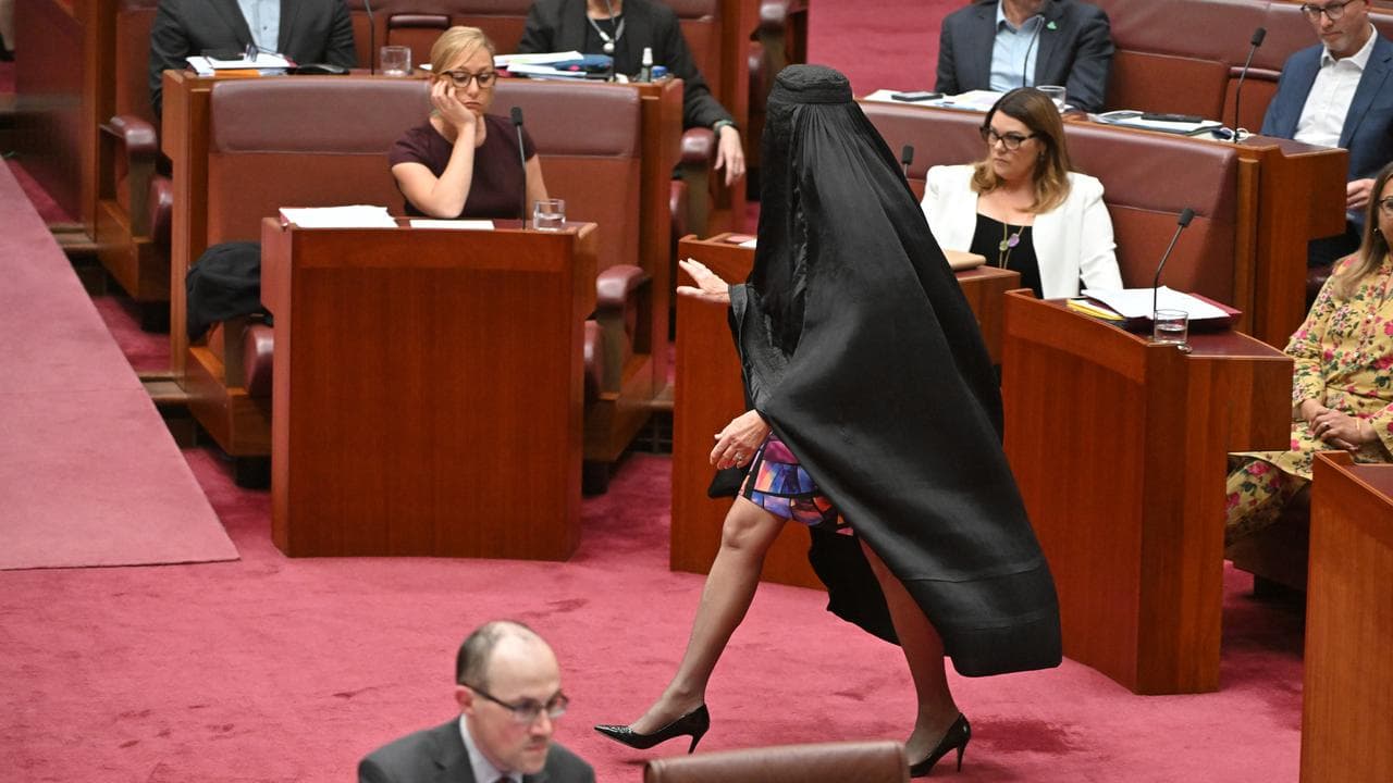 One Nation Leader Pauline Hanson wears a burqa in parliament.