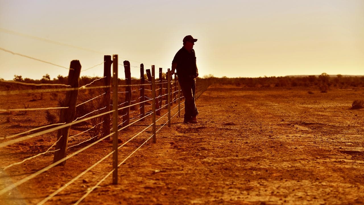 A farmer on a property during drought (file image)