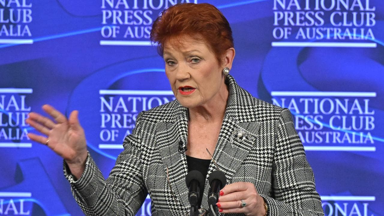 One Nation leader Pauline Hanson (file image)