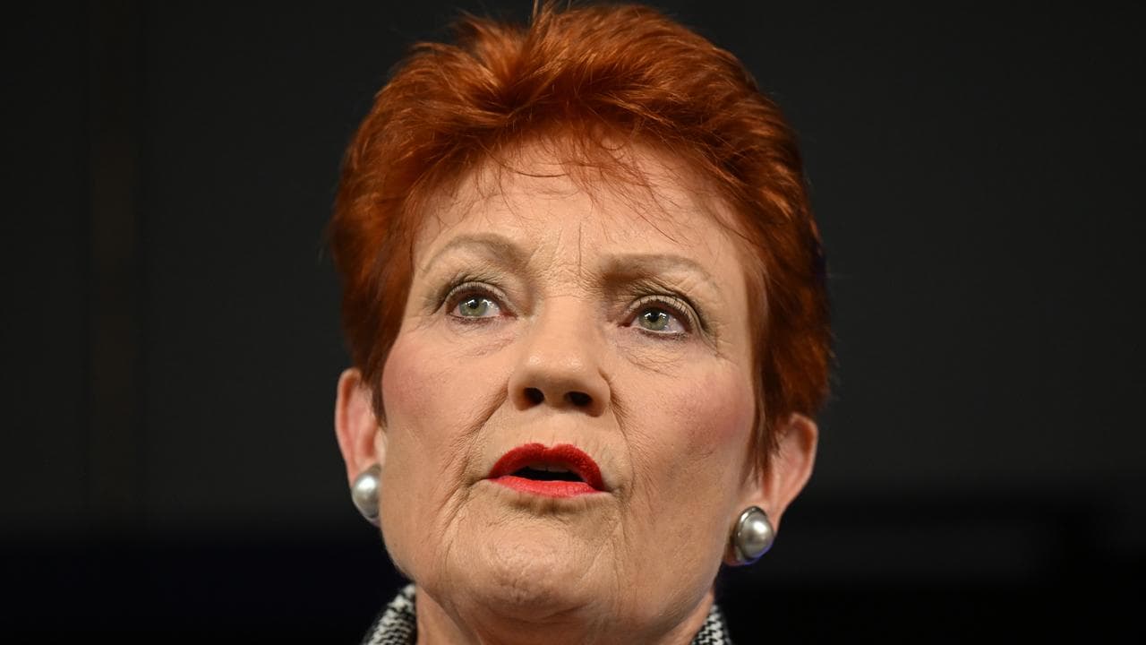 One Nation's Pauline Hanson