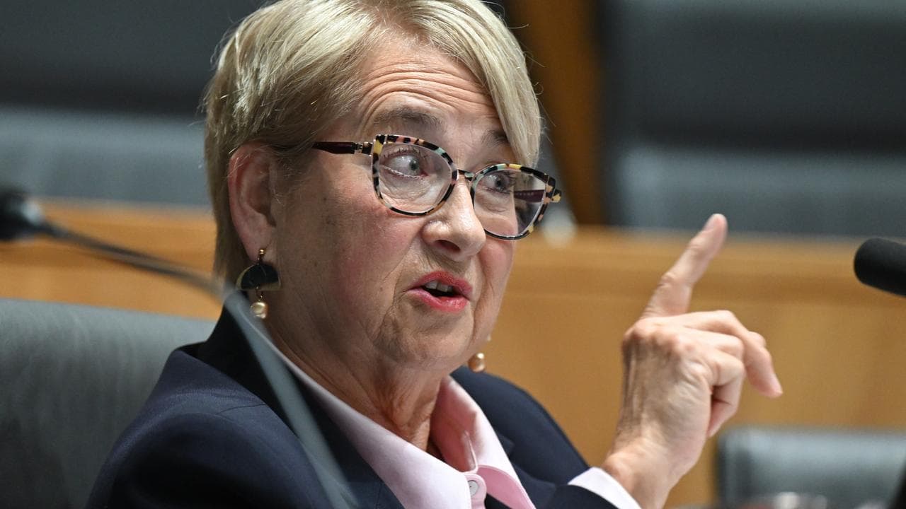 Greens senator Barbara Pocock