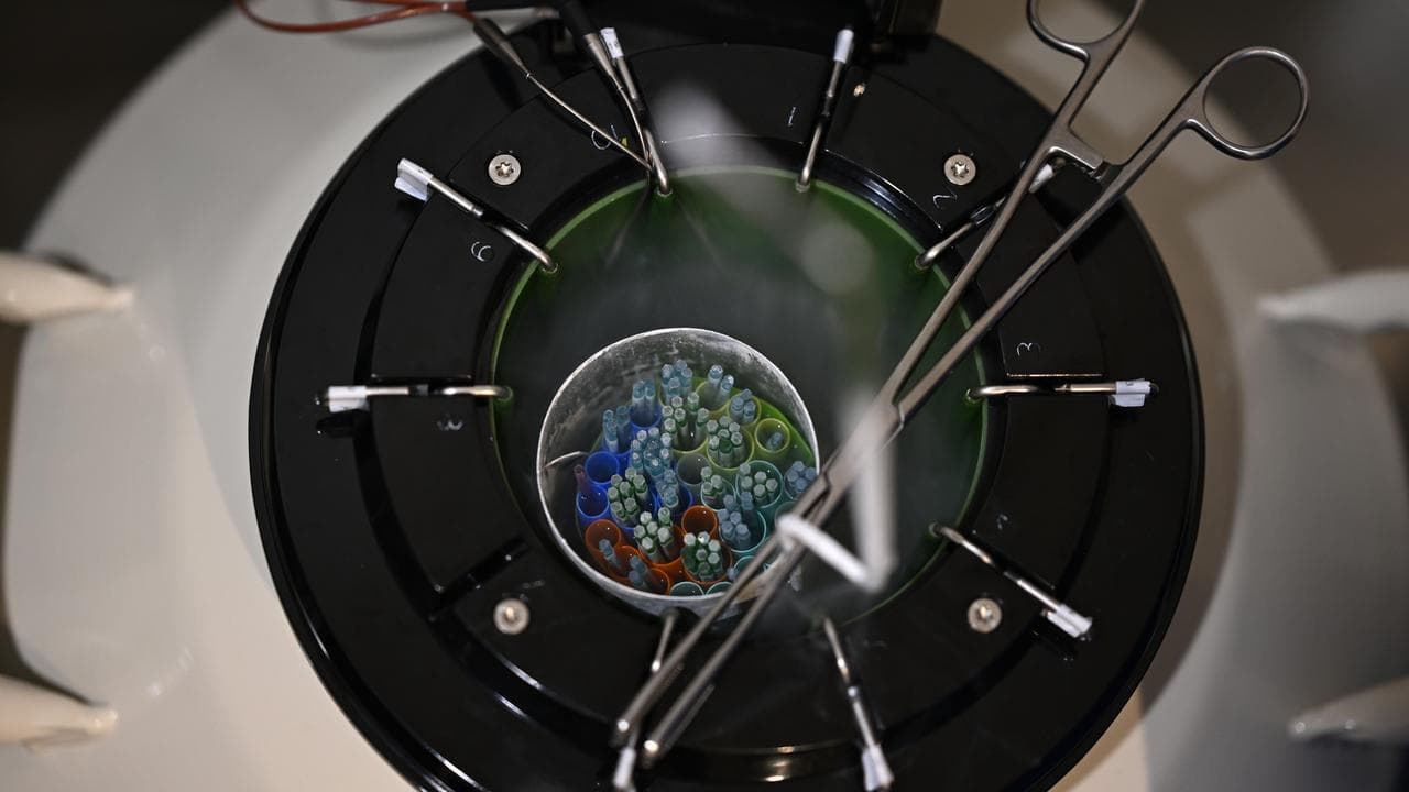 General images of laboratory technicians at work