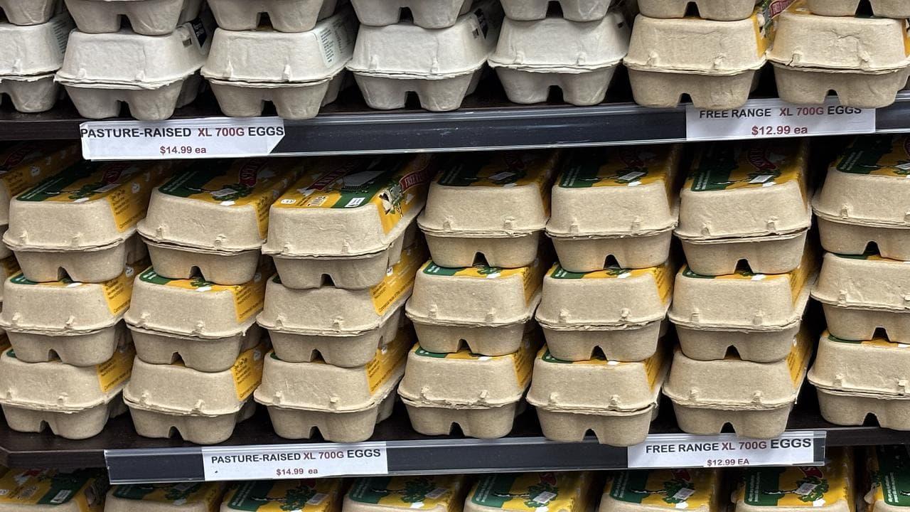 EGGS STOCK