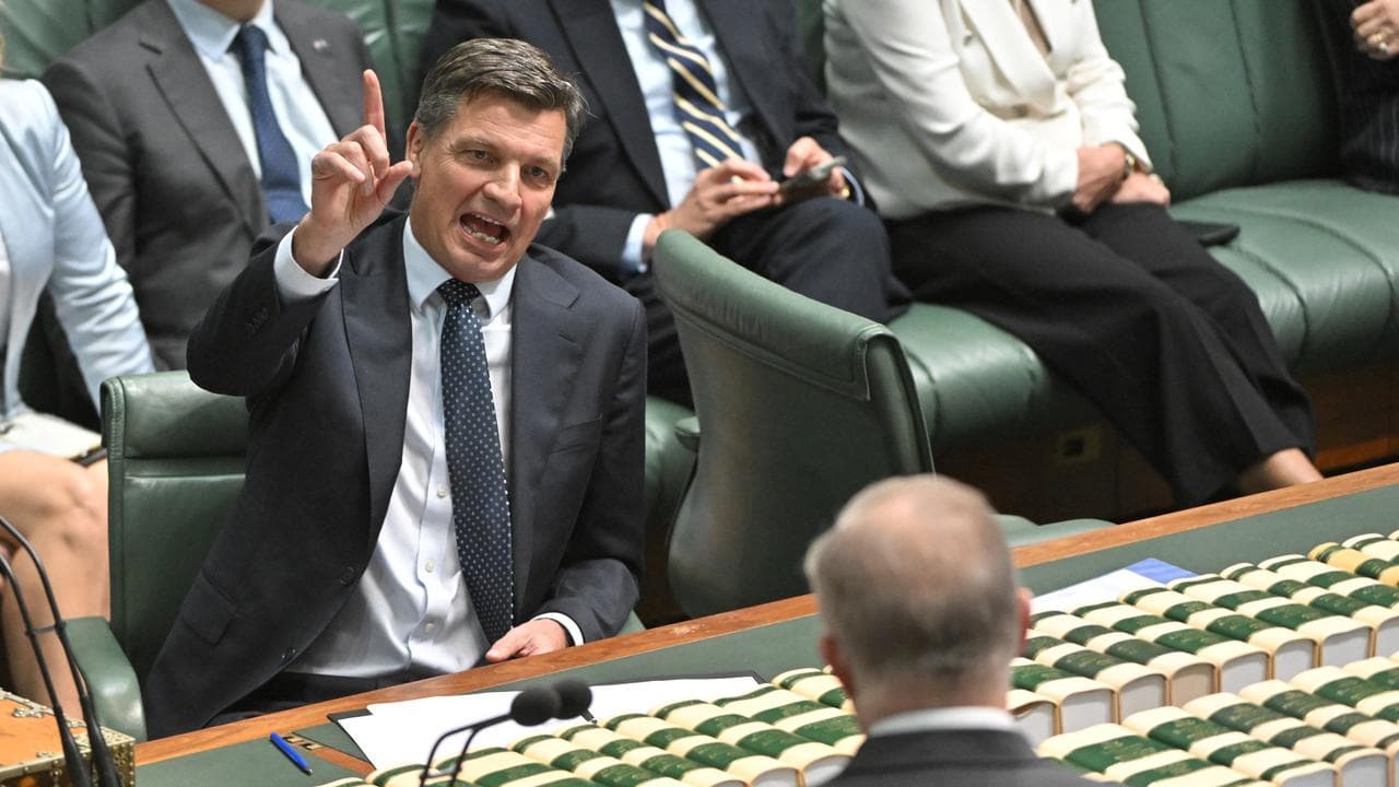 Opposition Leader Angus Taylor