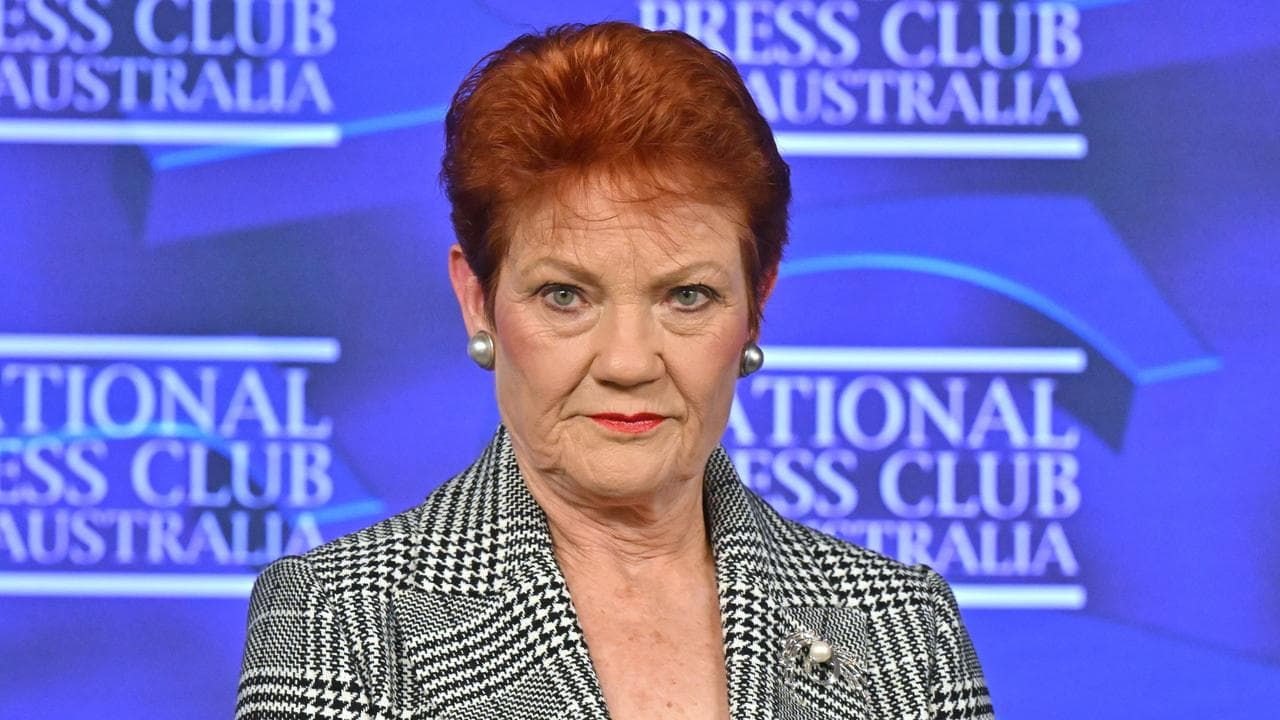 One Nation leader Pauline Hanson