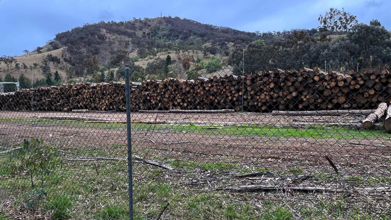 A timber mill at Swifts Creek, Victoria