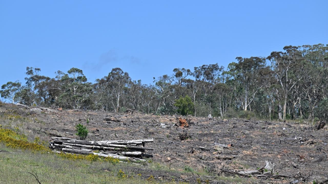 Trees cleared between Bungendore and Queanbeyan in NSW