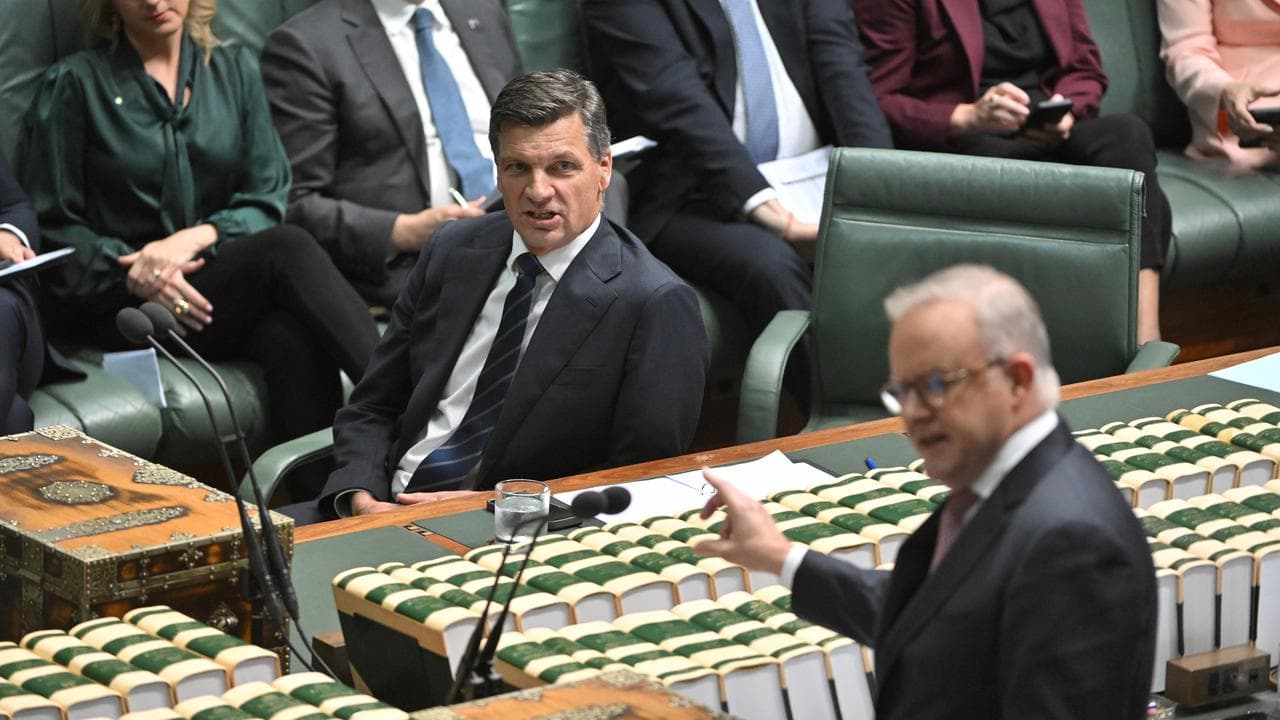 Angus Taylor and Anthony Albanese