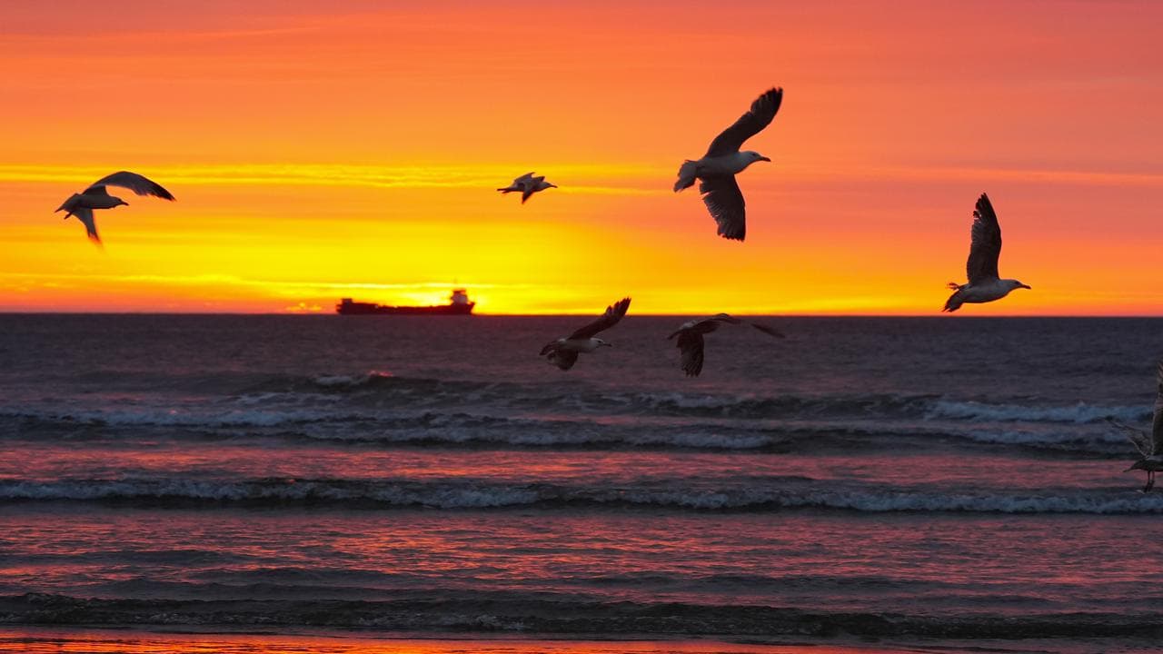 Sunrise at Tynemouth Beach in the north east of England