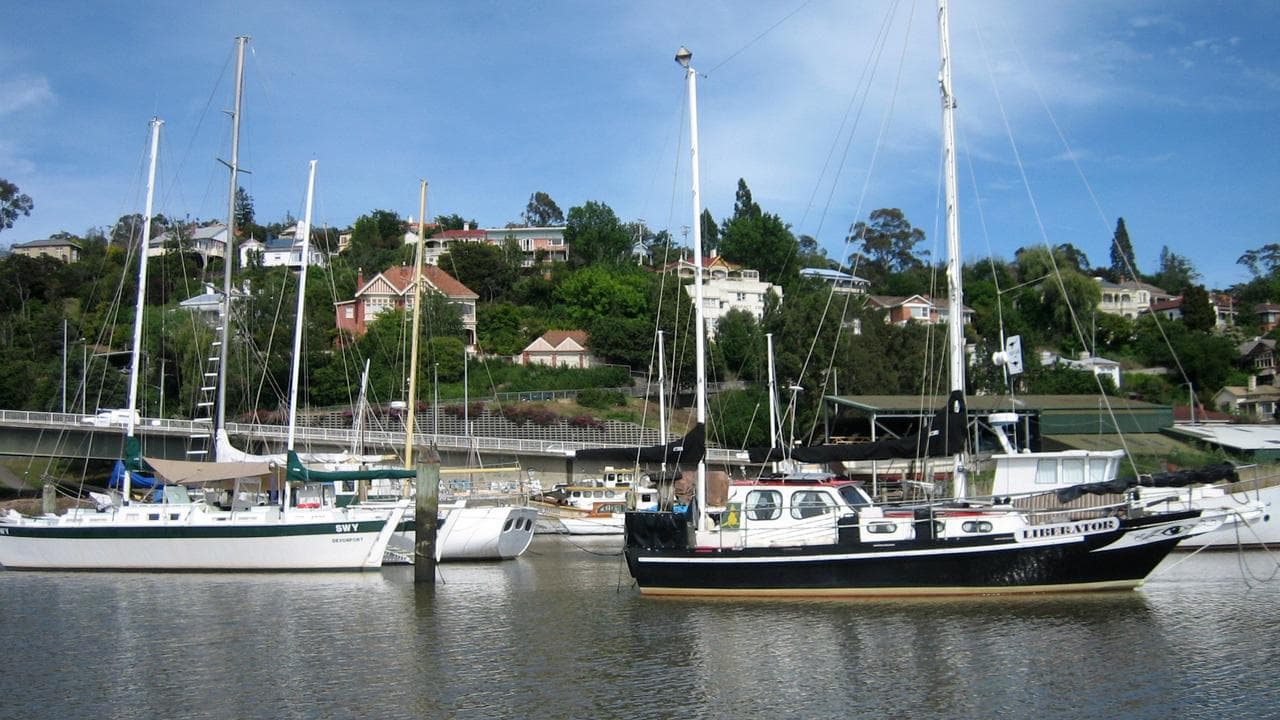 tamar