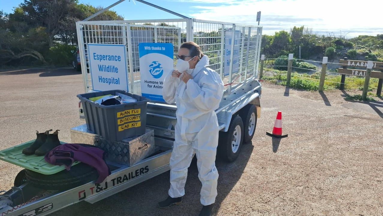 A wildlife carer in Esperance