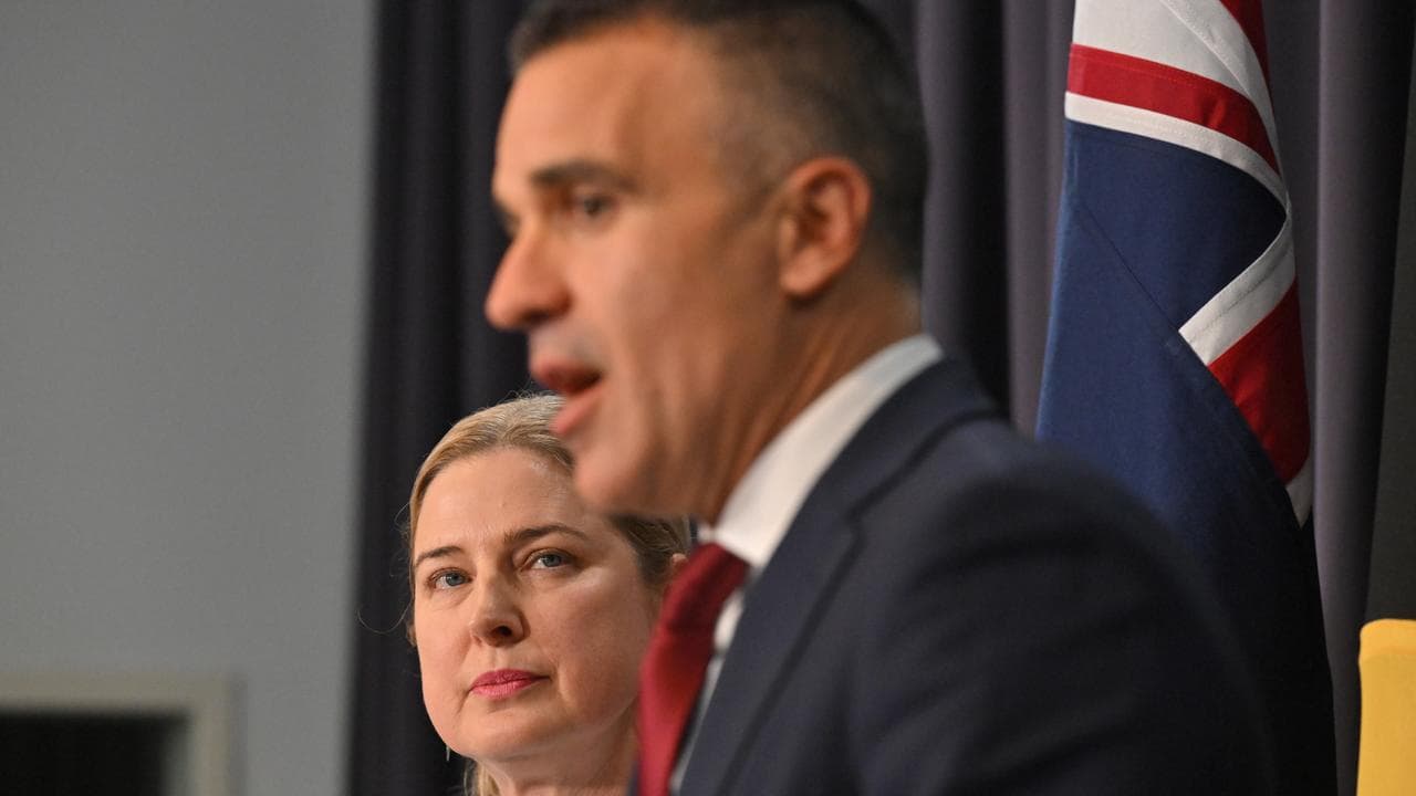 Julie Collins and Peter Malinauskas (file image)