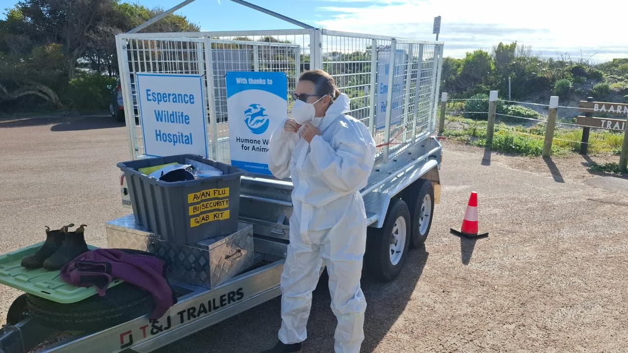 A wildlife carer in Esperance