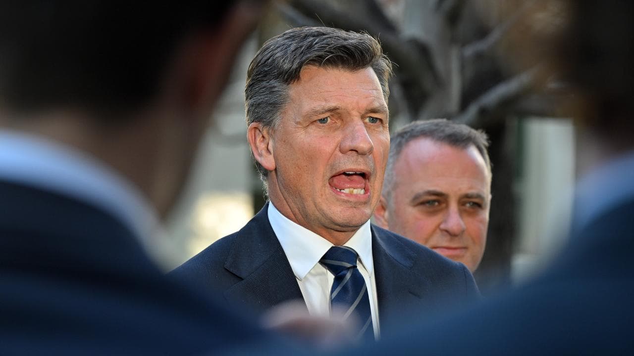 Opposition Leader Angus Taylor (file image)