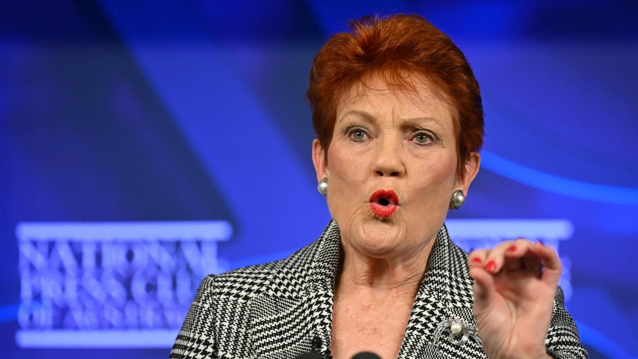 One Nation leader Pauline Hanson (file image)