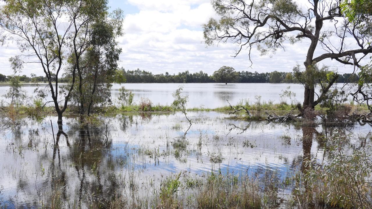 Wetland near Balranald, NSW