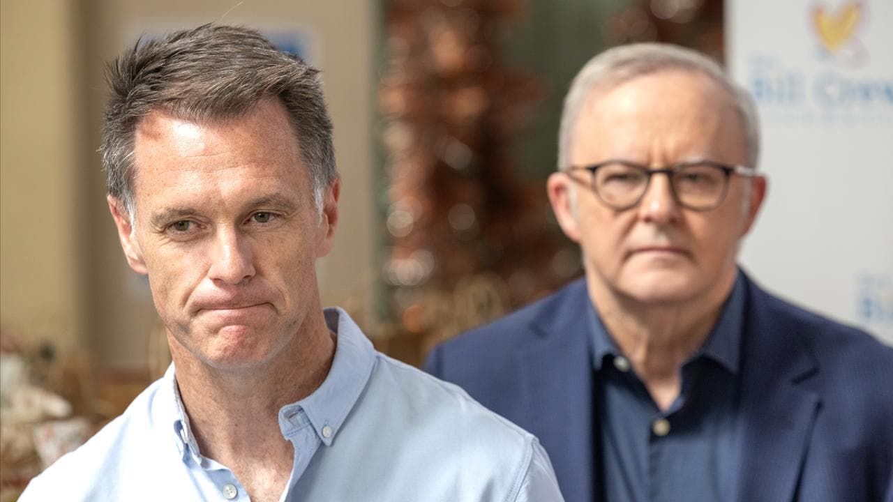 NSW Premier Chris Minns and Prime Minister Anthony Albanese (file)