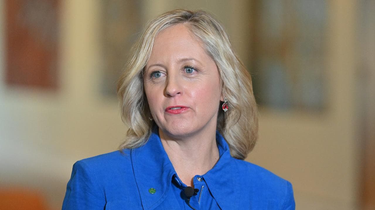 Melissa McIntosh (file image)