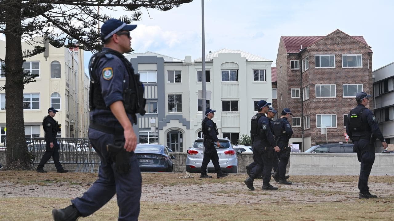 Police in Bondi (file image)