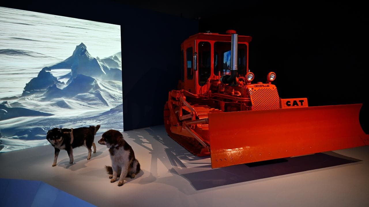 Antarctica exhibition