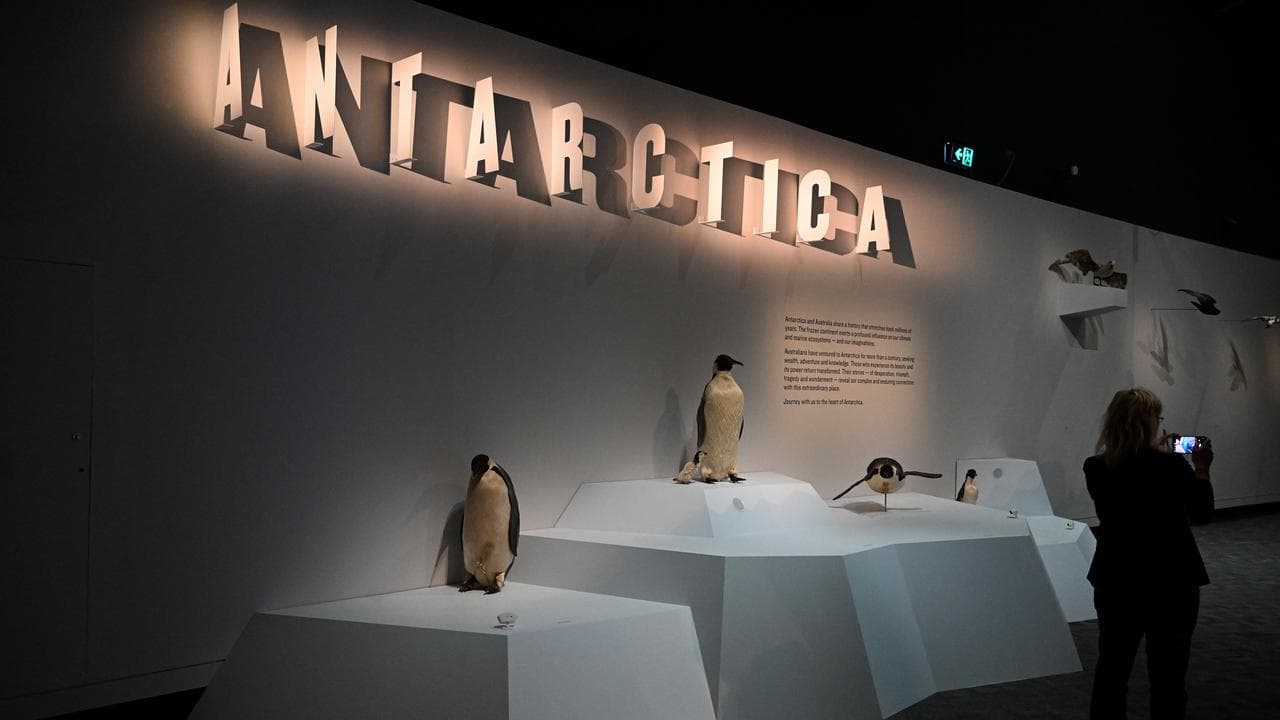 Antarctica exhibition