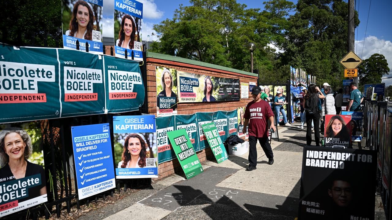 Election corflutes