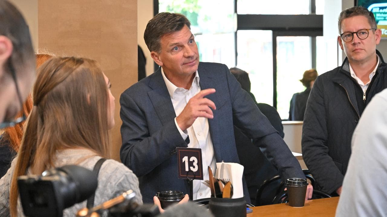 Opposition Leader Angus Taylor (file image)