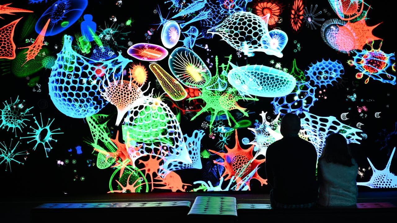 Illuminate Adelaide 