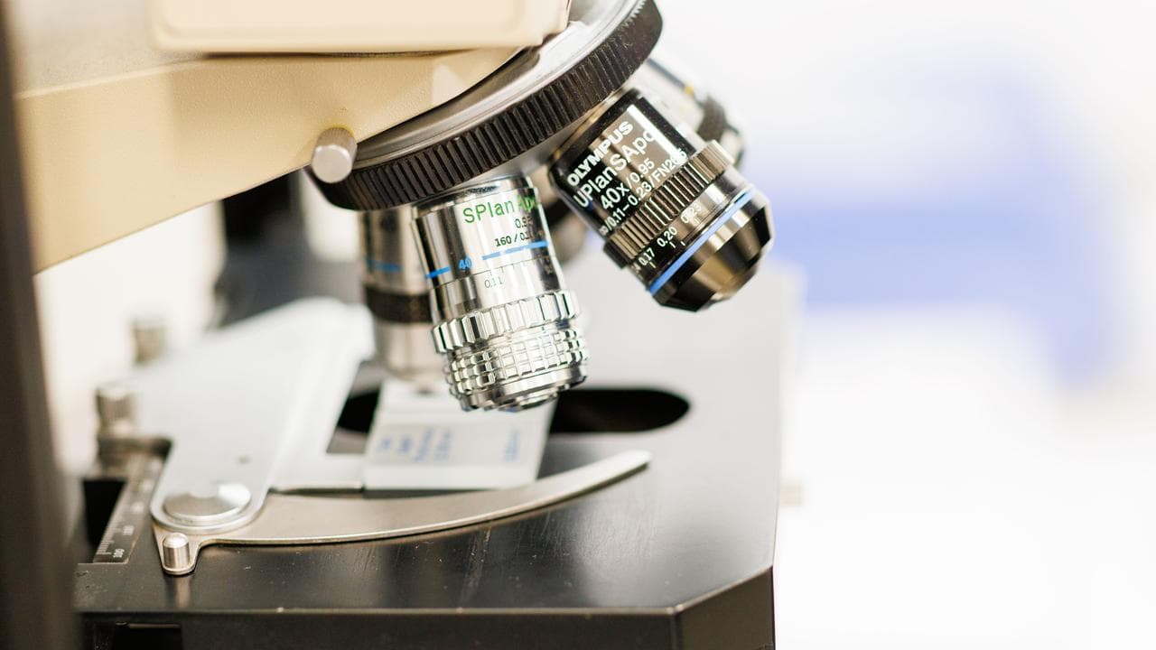 A microscope at the University of South Australia in Adelaide