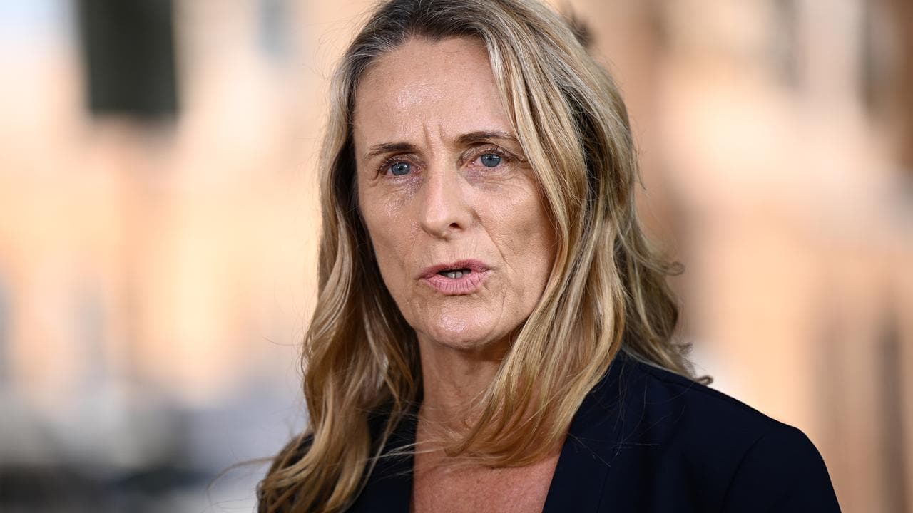 Greens MP Sue Higginson