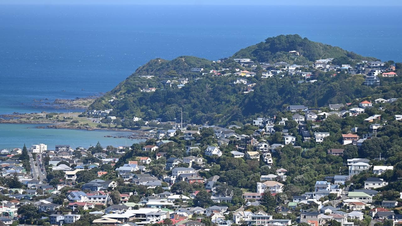 A photo of houses in the Wellington suburb of Lyall Bay.