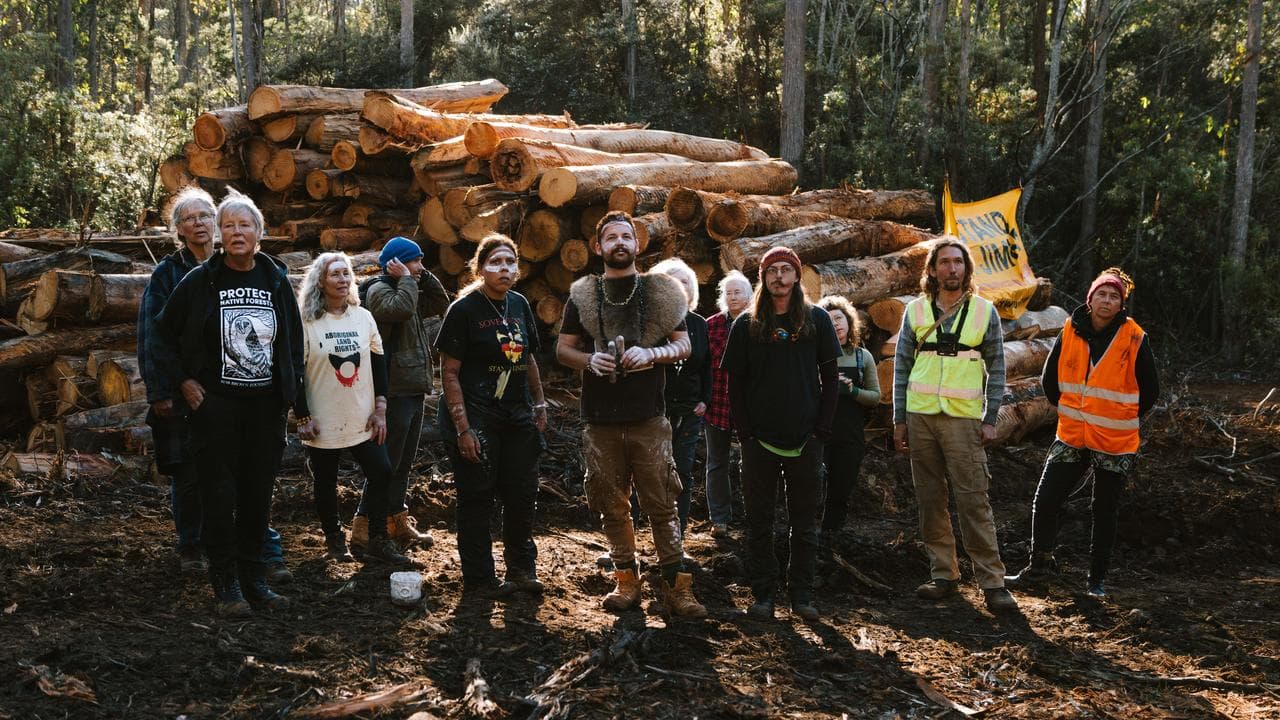 Activists protesting against logging in Tasmania (file image)