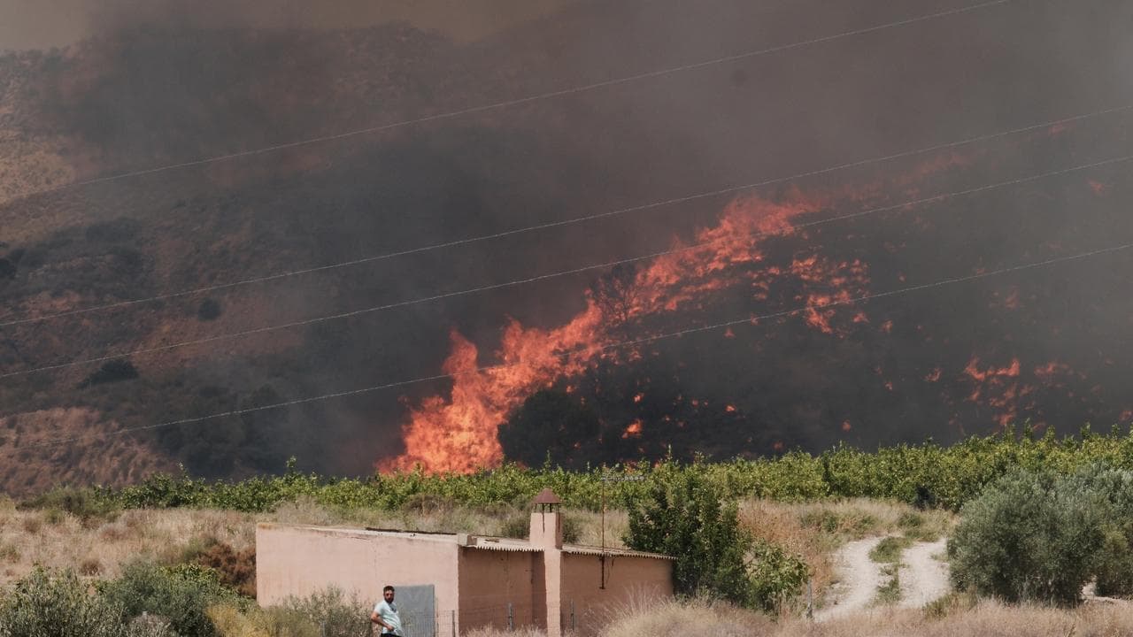 A wildfire rages in Alfajir, near Almeria in southeastern Spain