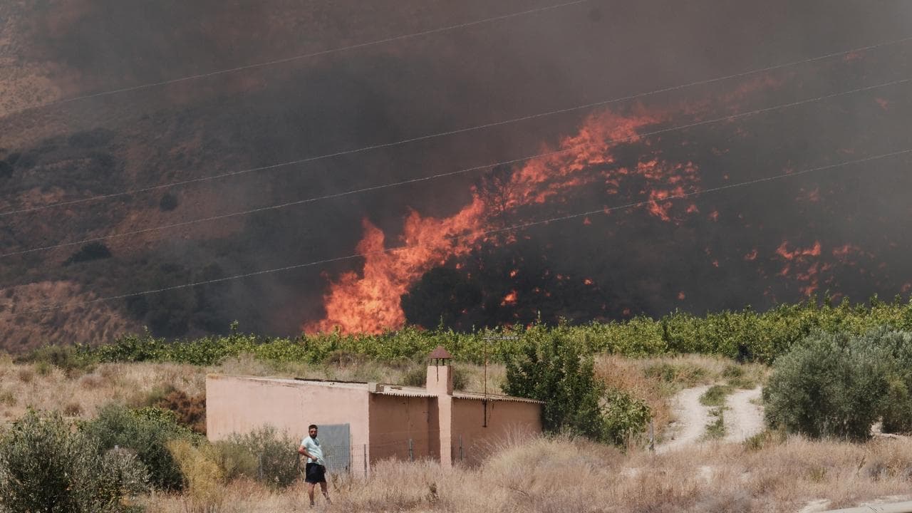 A wildfire rages in Alfajir
