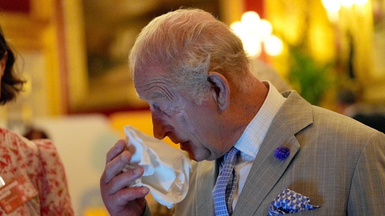 King Charlies suffers in London's heat (file pic)