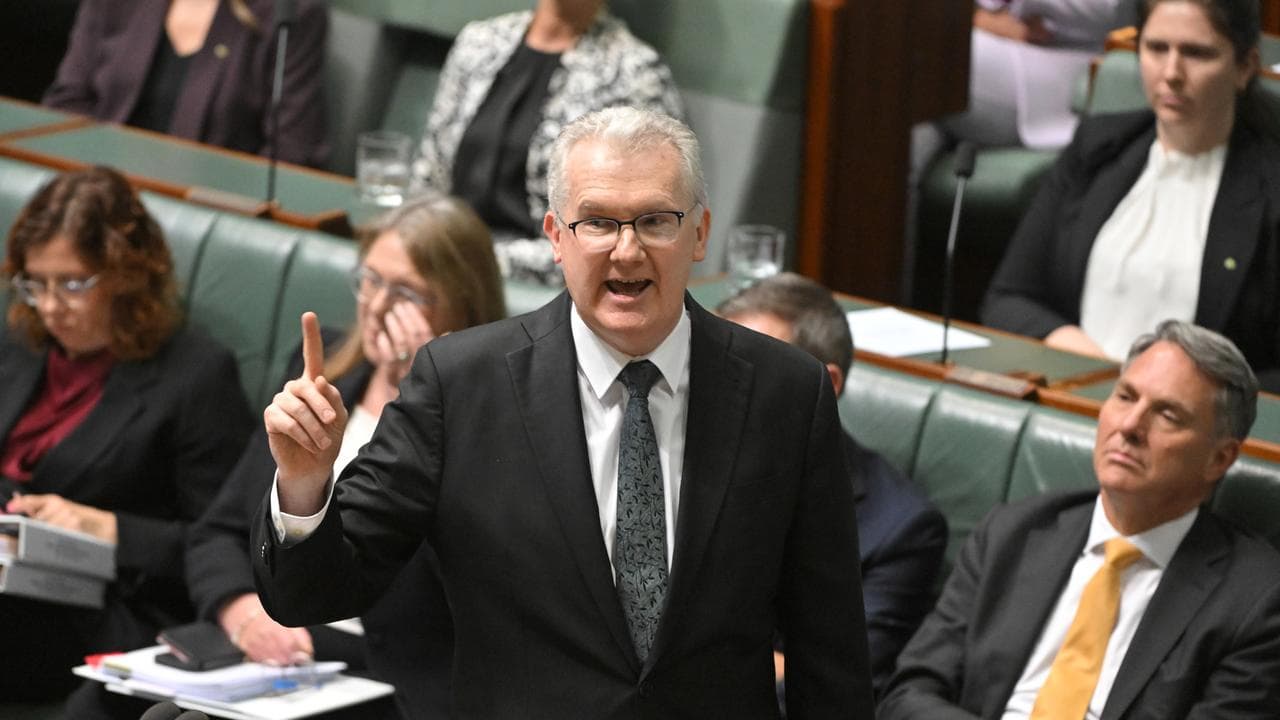 Minister for Home Affairs Tony Burke