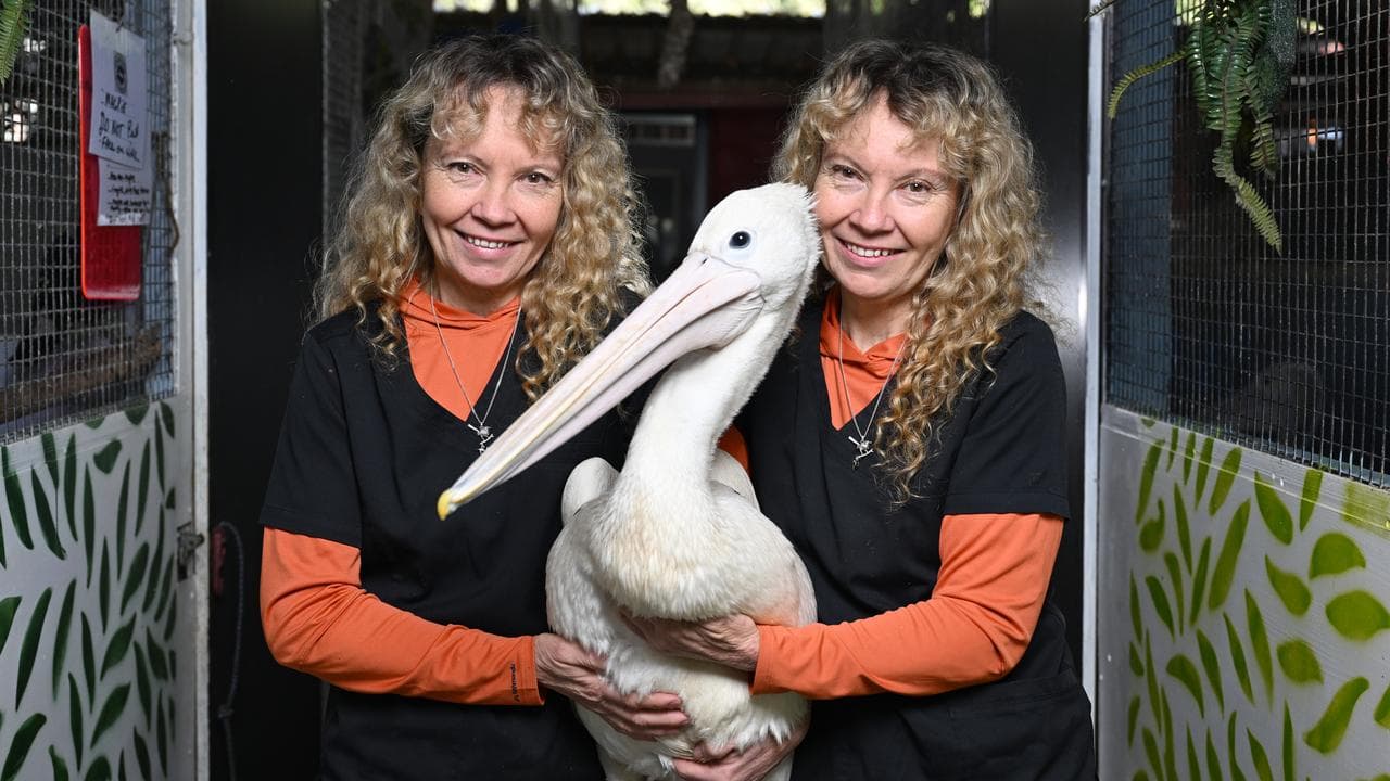 Bridgette and Paula Powers